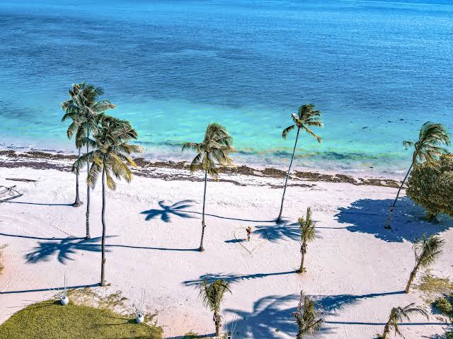 Tanzania Honeymoon Safari & Zanzibar | Generous Tours & Safaris gallery 1
